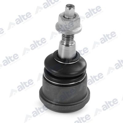 ARTICULATIE SARCINA/GHIDARE