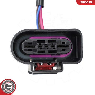 UNITATE COMANDA POMPA COMBUSTIBIL ESEN SKV 96SKV393 1