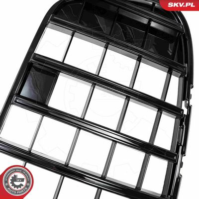 GRILA RADIATOR ESEN SKV 66SKV574 4