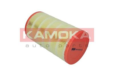 Air Filter F235701