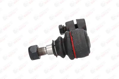 CAP DE BARA BIRTH RD0771 4