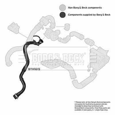 Przewód powietrza doładowującego BORG & BECK BTH1615