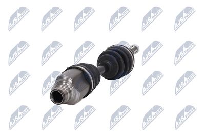 PLANETARA NTY NPWCH036 18