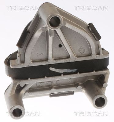 SUPORT MOTOR TRISCAN 850565100 1