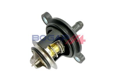 TERMOSTAT LICHID RACIRE