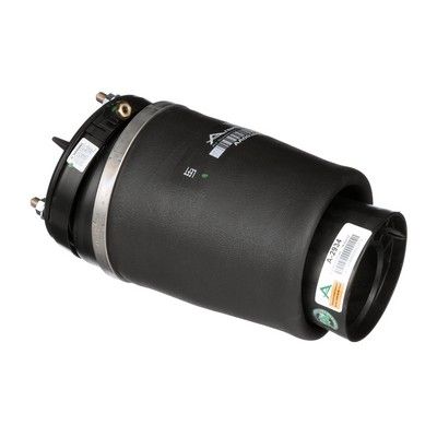 LUFTFEDER FAHRWERK Arnott A2934 30