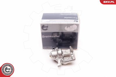 Brake Caliper 34SKV013