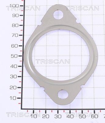 TRISCAN Tarpiklis