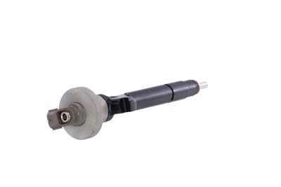 INJECTOR REMANTE 002003000191R 33