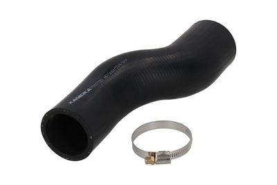 FURTUN EAR SUPRAALIMENTARE