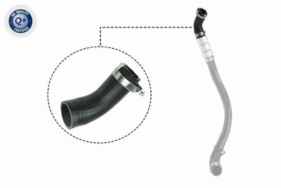 FURTUN EAR SUPRAALIMENTARE