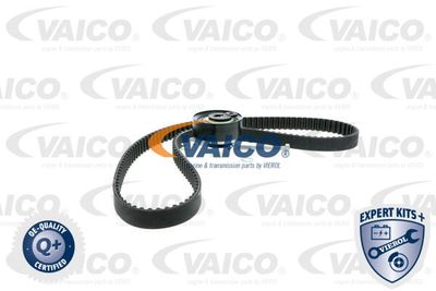 VAICO V10-4228 Комплект ГРМ 