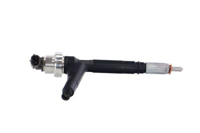 INJECTOR REMANTE 002003000084R 43