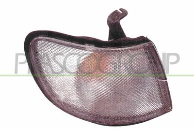 LICHTSCHEIBE BLINKLEUCHTE