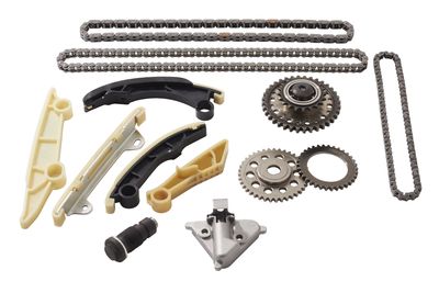 Zestaw łańcucha rozrządu BORGWARNER 59007150016