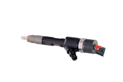 INJECTOR REMANTE 002003001168R 16