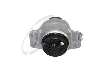 TRUCKTEC AUTOMOTIVE Variklio montavimas