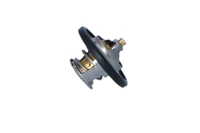 TERMOSTAT LICHID RACIRE NRF 725154 36
