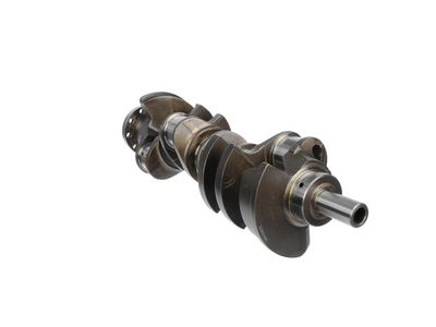 ARBORE COTIT ET ENGINETEAM HK0218 21