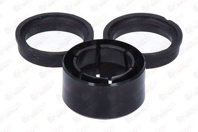 BUCSA ARBORE DE DIRECTIE BIRTH 4142 7