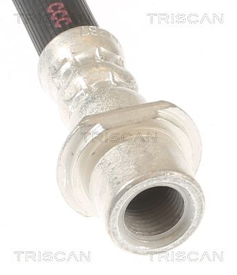 FURTUN FRANA TRISCAN 815013419 2