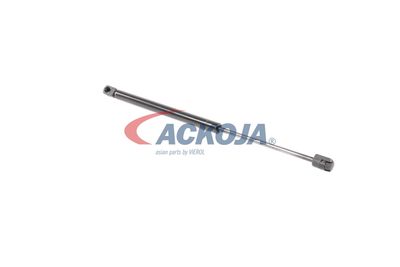 AMORTIZOR PORTBAGAJ ACKOJA A520112 18