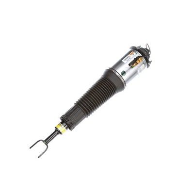 LUFTFEDERBEIN Arnott AS2775 61