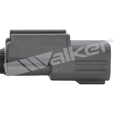 LAMBDASONDE WALKER PRODUCTS 250241283 3