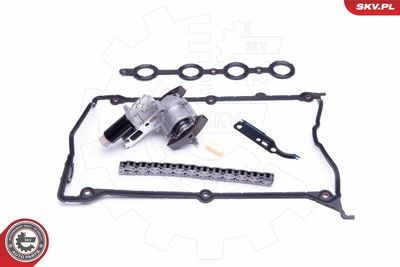 Timing Chain Kit 21SKV110