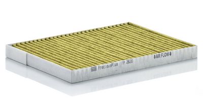 Filter, Innenraumluft