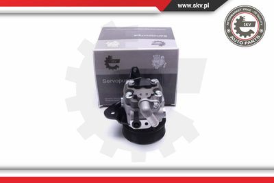 Гидравлический насос, рулевое управление ESEN SKV 10SKV310 для LAND ROVER RANGE ROVER