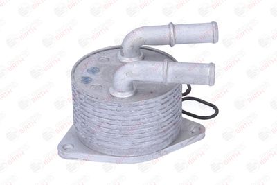 RADIATOR ULEI ULEI MOTOR BIRTH 80874 10