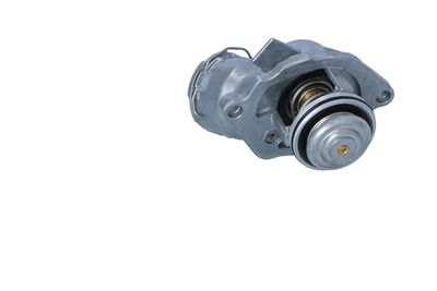 TERMOSTAT LICHID RACIRE NRF 725032 25