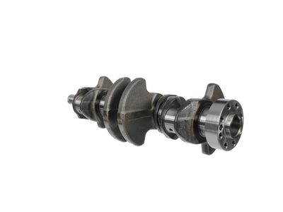 ARBORE COTIT ET ENGINETEAM HK0130 20