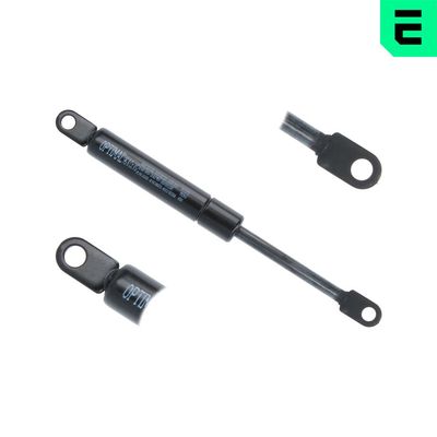 AMORTIZOR GAZ PAVILION