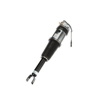 LUFTFEDERBEIN Arnott AS3031 60