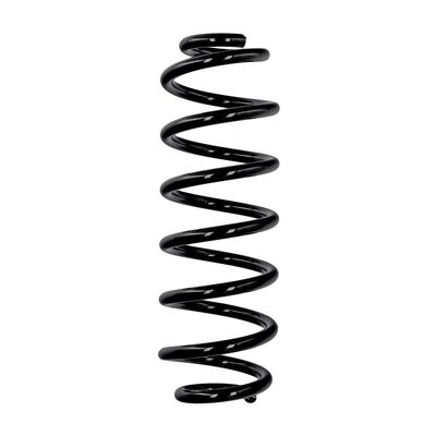 ARC SPIRAL EIBACH R10319 25