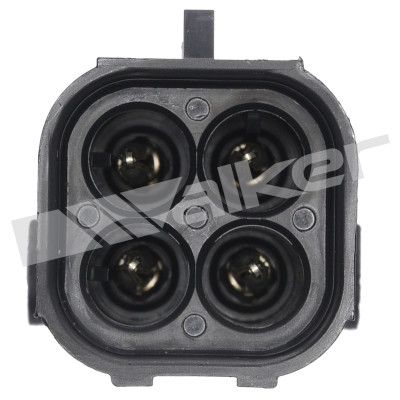 LAMBDASONDE WALKER PRODUCTS 25024598 2