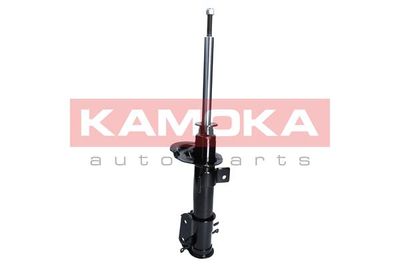 Shock Absorber 2000372