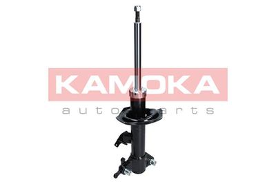 Shock Absorber 2000112