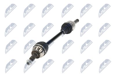 PLANETARA NTY NPWLR058 19