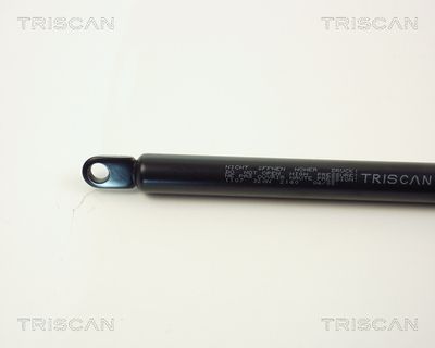 AMORTIZOR PORTBAGAJ KAWE 87101107 1