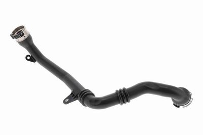 FURTUN EAR SUPRAALIMENTARE ACKOJA A380815 3