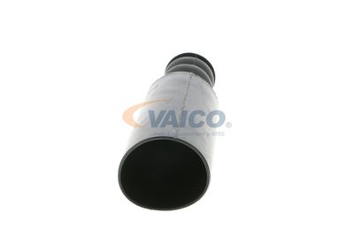 ANSCHLAGPUFFER FEDERUNG VAICO V469613 24