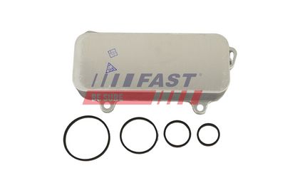 RADIATOR ULEI CUTIE VITEZE