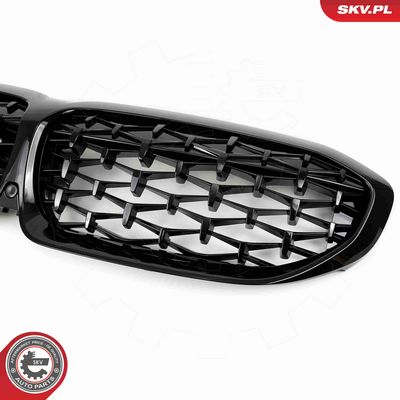 GRILA RADIATOR ESEN SKV 66SKV141 4