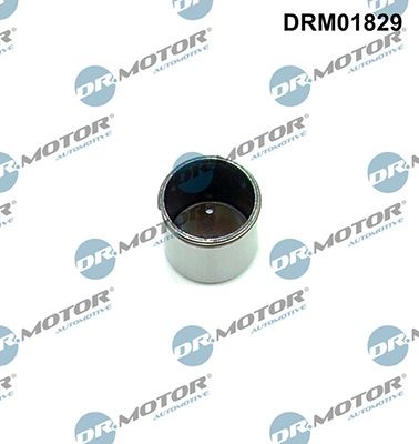 Píst, vysokotlaké čerpadlo LIZARTE DRM01829