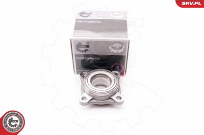 Wheel Bearing Kit 29SKV041