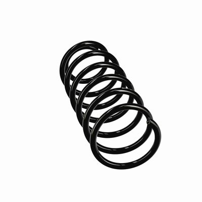 ARC SPIRAL EIBACH R10971 24