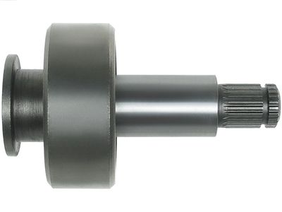 AS-PL Ritzel, Starter